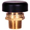 WATTS N-36M-1 SAFETY VALVE BRASS 3/4"