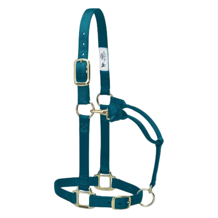 AVERAGE ADJUSTABLE HALTER TEAL