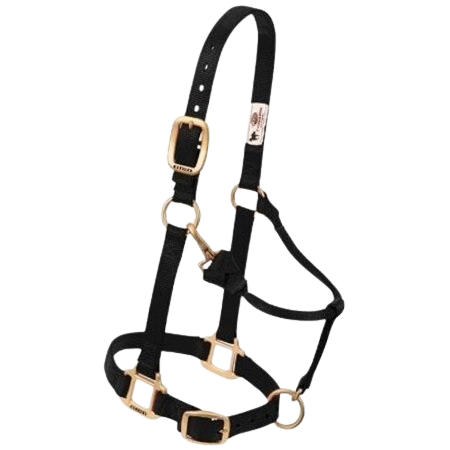 AVERAGE ADJ HALTER BLACK