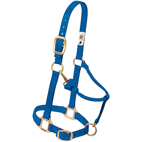 AVERAGE ADJ HALTER  BLUE