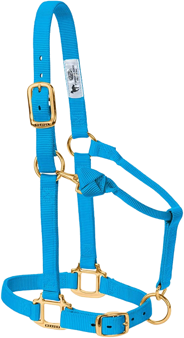 AVERAGE ADJ HALTER  HBLUE