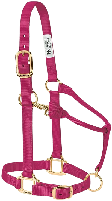AVERAGE ADJ HALTER RASPBERRY