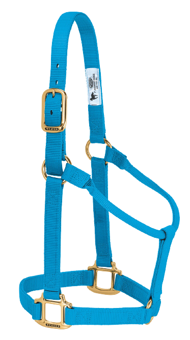 LARGE ADJ HALTER HUR BLUE