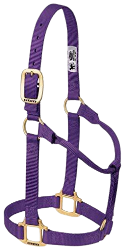 LARGE ADJ HALTER PURPLE