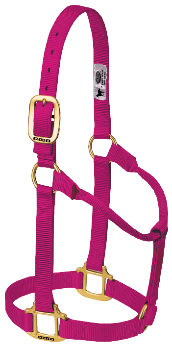 LARGE ADJ HALTER RASPBERRY