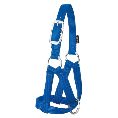 WEAVER SM GOAT HALTER NYLON BLUE