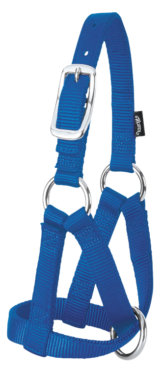 LRG GOAT HALTER BLUE