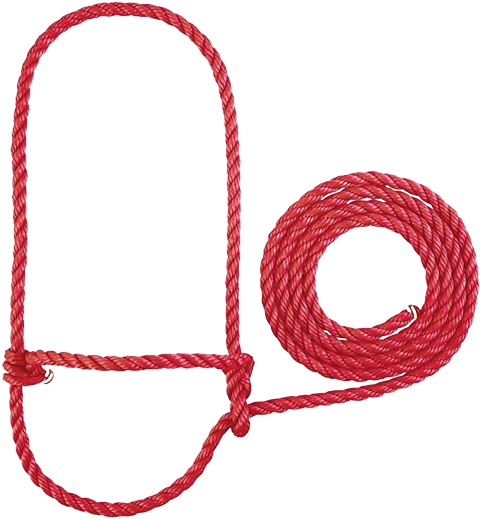 POLY CALF RED HALTER