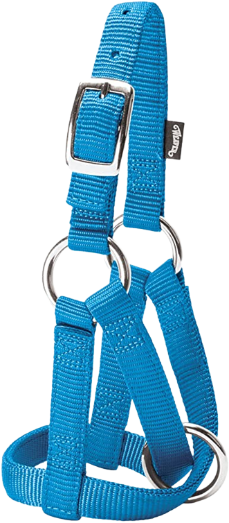 HALTER GOAT MED NYLON HUR BL