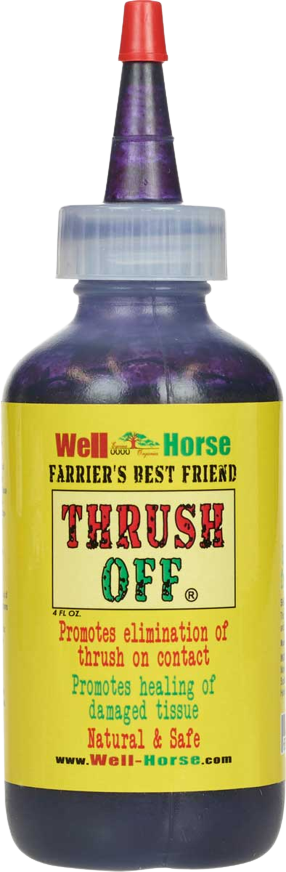 THRUSH OFF SQUIRT BOTTLE 4OZ