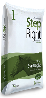 STEP 1: START RIGHT HORSE FEED