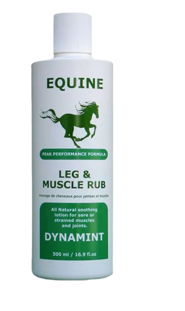 DYNAMINT LEG & MUSCLE RUB 500ML