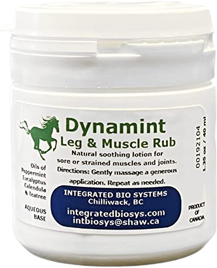 EQUINE DYNAMINT TRAVEL SIZE