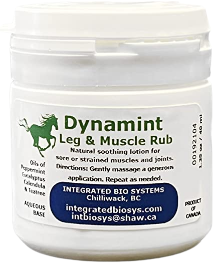 EQUINE DYNAMINT TRAVEL SIZE 40ML