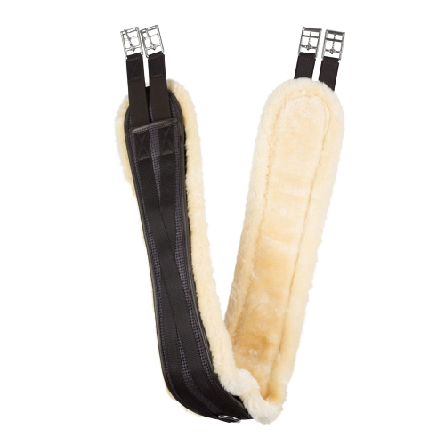 HORZE ATLANTA AP GIRTH(54)