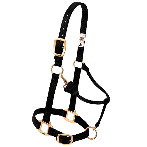 WEANLING ADJ HALTER BLACK