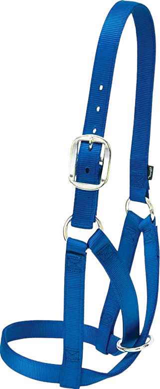 WEANLING ADJ HALTER BLUE
