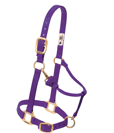 WEANLING ADJ HALTER PURPLE