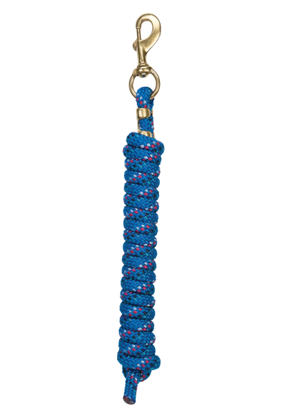 POLY LEAD ROPE 10' BLUE RAINBOW