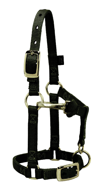 LG MINI ADJ HALTER BLACK