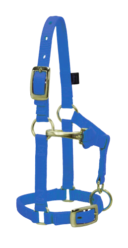 LG MINI ADJ HALTER BLUE