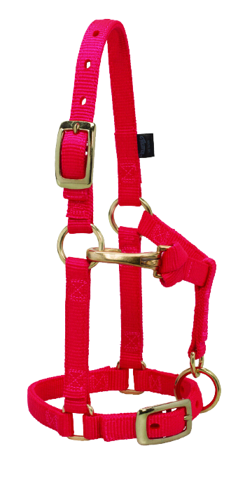 LG MINI ADJ HALTER RED