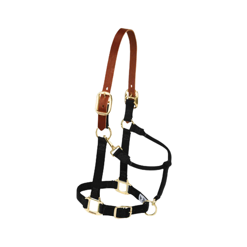 BREAKAWAY NYLON HALTER AVG BLK