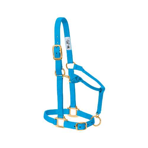 YEARLING ADJ HALTER  H BLUE