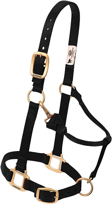 SMALL ADJ HALTER  BLACK