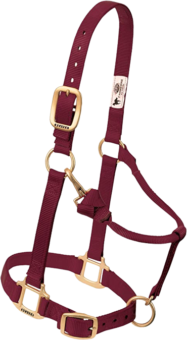 SMALL ADJ HALTER BURGANDY