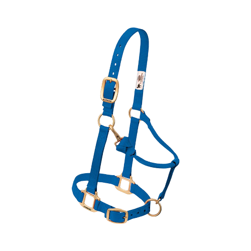 SMALL ADJ HALTER HBLUE