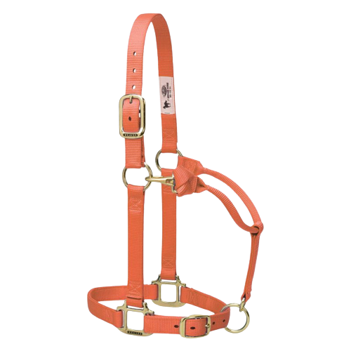 AVERAGE ADJ HALTER ORANGE