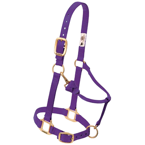 AVERAGE ADJ HALTER PURPLE