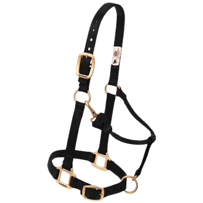 LARGE ADJ HALTER BLACK