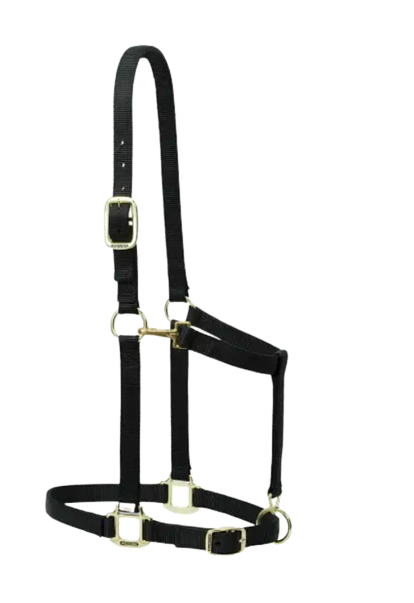 DRAFT ADJ HALTER BLACK