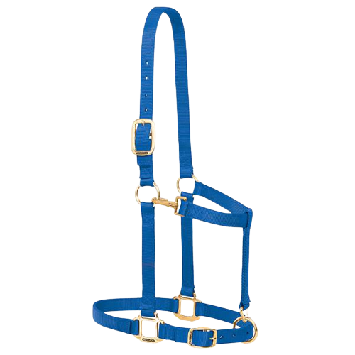 DRAFT ADJ HALTER BLUE