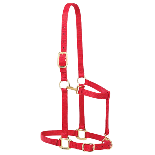 DRAFT ADJ HALTER RED