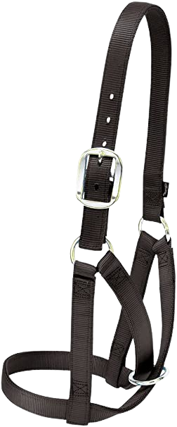NYLON COW HALTER BLACK MED