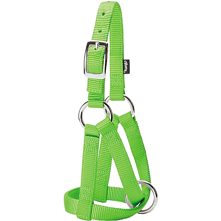 WEAVER SM GOAT HALTER NYLON LIME