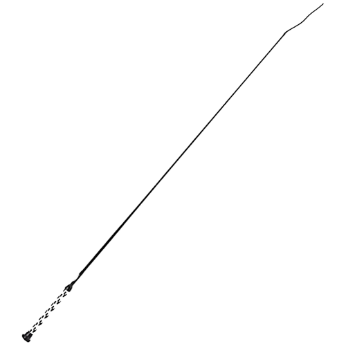 LUNGE WHIP 65" BLACK