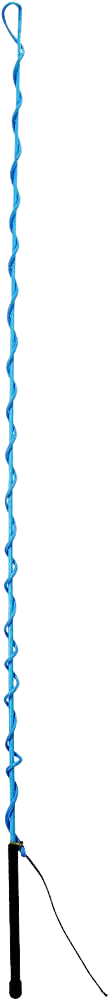 LUNGE WHIP 65" BLUE