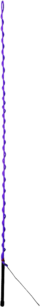 LUNGE WHIP 65" PURPLE