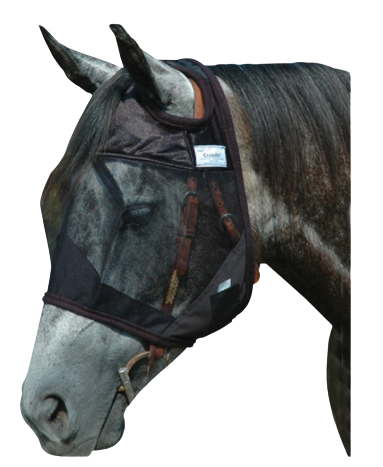 FLY MASK HORSE CSHL QUIET RIDE