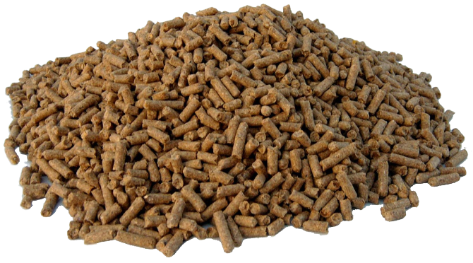 COOL CRUNCH HORSE PELLET