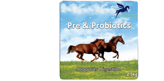 PEGASUS PROBIOTICS 2.5KG