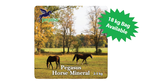 PEGASUS HORSE MINERALS 18KG