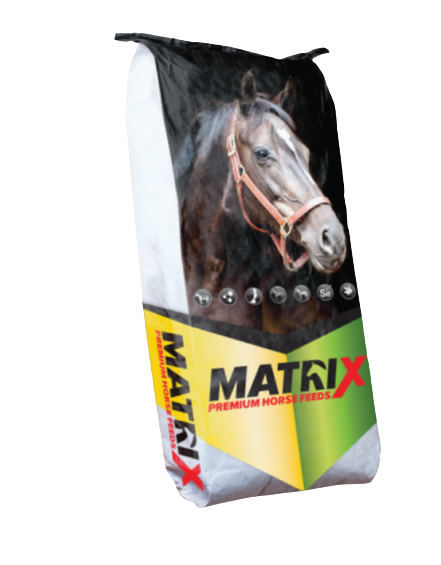 MATRIX MATURE HORSE TEXT