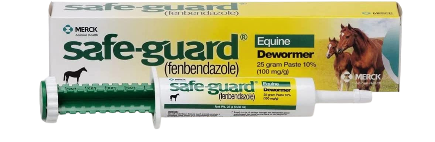 SAFEGUARD PASTE 25GM