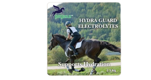 PEGASUS HYDRA GUARD ELECTROLYTES