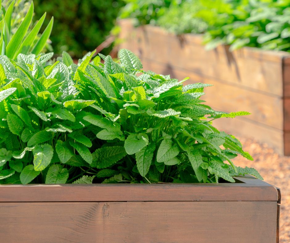 LAWN &amp; GARDEN FENCING